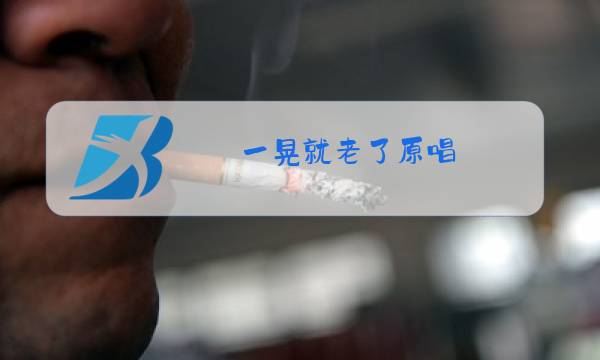 一晃就老了原唱 秋裤大叔DJ